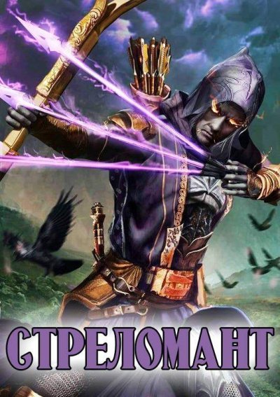 Стреломант. Книга 1