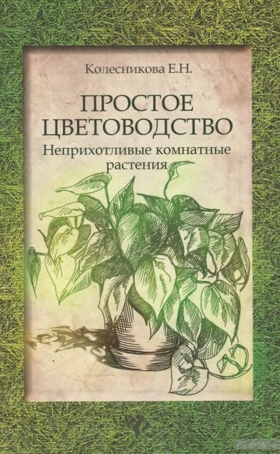 Простое цветоводство: неприхотливые комнатные растения